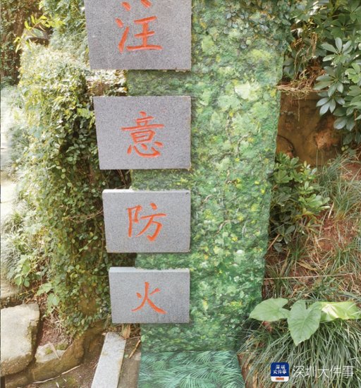 深圳公园“保安画师”火了，在井盖、配电箱、墙上作画数百幅