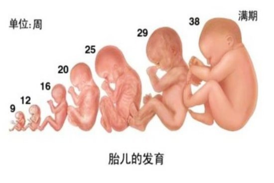 胎儿进入猛涨期的四类“信号”，妈妈要<em>能</em>捕捉到，宝宝才能<em>长得</em>...