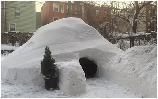 纽约雪后建造冰屋 每晚200美元出租