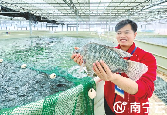 南宁：鱼儿“上岸”养 科技赋能促增收