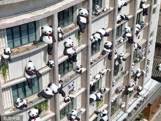 山东烟台：近百只毛绒熊猫“爬上”酒店外墙