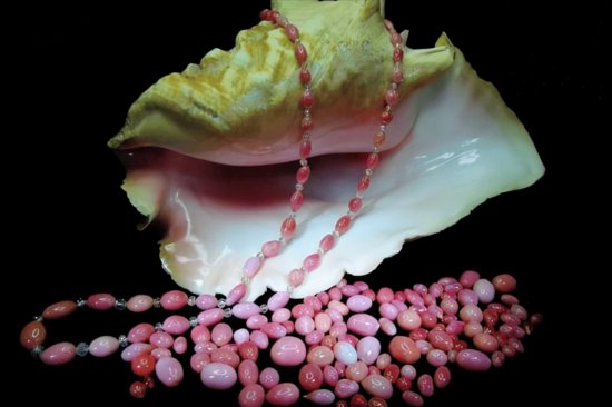 珍珠界的劳斯莱斯，一颗海螺珠价格能买一套房，它凭啥能这么贵...