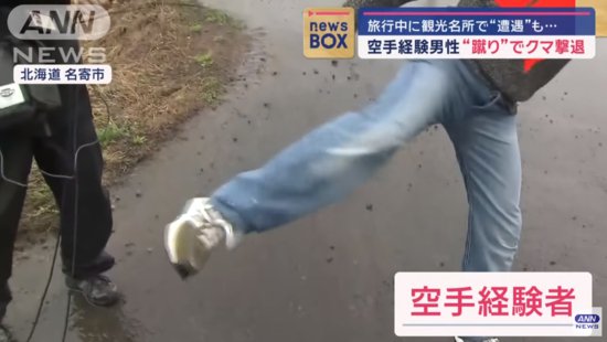 日本男子在旅游景点遇熊袭击 用空手道将其击退逃生