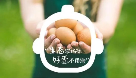 上海农场本月29日发布禽蛋新品