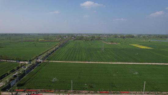 河南淮滨：上百台无人植保机助力小麦“一喷三防”