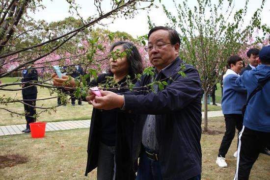 上海举办首次“<em>树</em>说思念”纪念林植树活动，纪念7万名海葬者