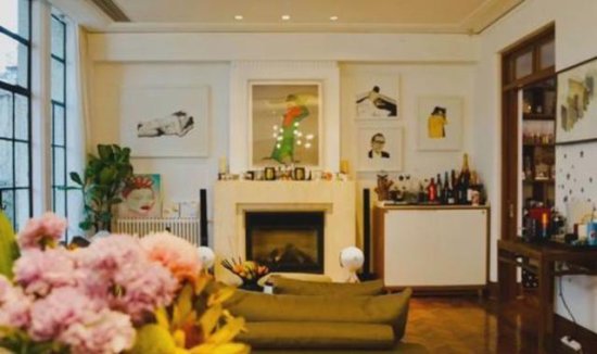 参观吕燕在法国的豪宅，可能是太怕冷了，<em>客厅</em>装有壁炉和<em>暖气片</em>
