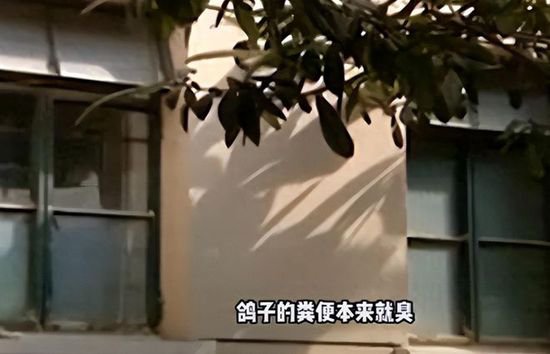 上海60岁老人惨死家中2年，儿女竟毫不知情，发现时遗体已成...