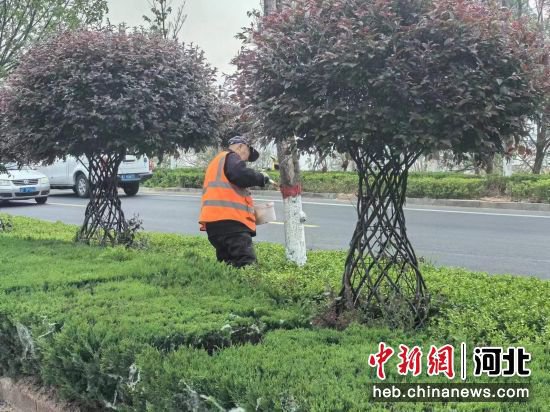 河北冀州开展春季路域环境整治提升行动