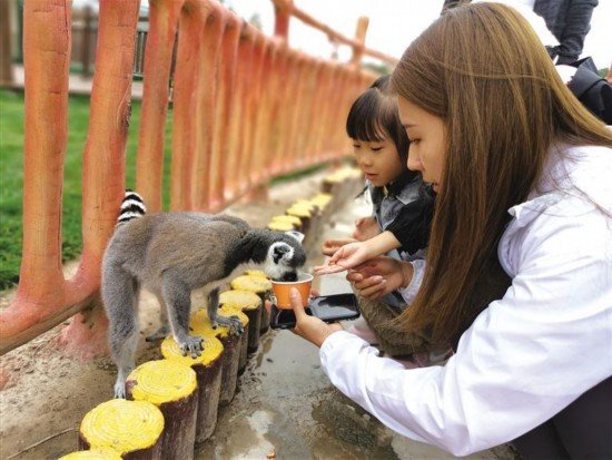 开园首日 兰州野生动物园迎来近三千游客