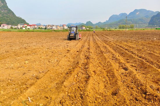 龙州县下冻镇：打好种养“组合拳” 助推绿色循环农业发展