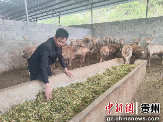 贵州省“最美劳动者”安中流：“牛”支书 办法强