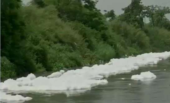 <em>印度恒河</em>最长支流漂浮有毒泡沫：厚厚一层盖住河面