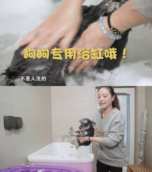 周海媚定居北京住豪宅，56岁养6只<em>宠物</em>作伴，坚持不再婚不生育