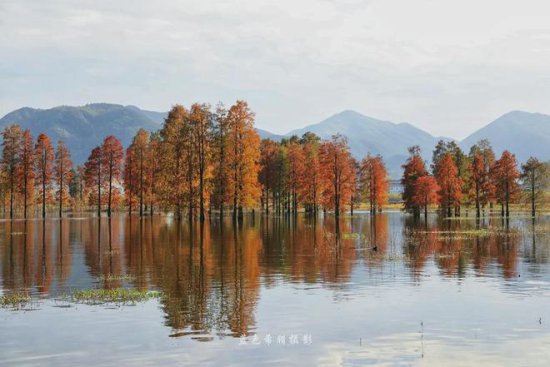 摄影笔记：佳能24-105镜头拍摄的四明湖秋色，美不胜收