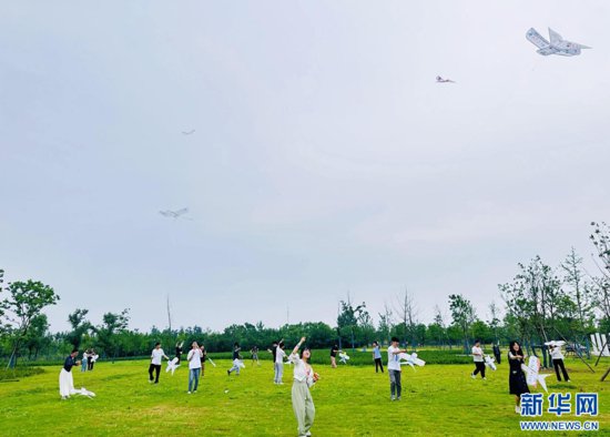 武汉青山举办首届最美湿地风筝节