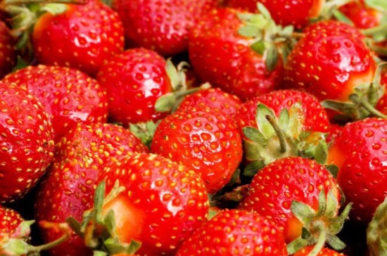 怎么种<em>草莓 草莓种植</em>方法