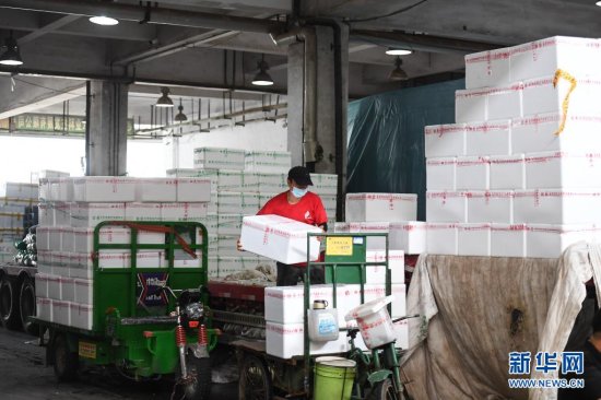 8月3日，在南京农副产品物流<em>配送中心</em>，商户在装运<em>蔬菜</em>。