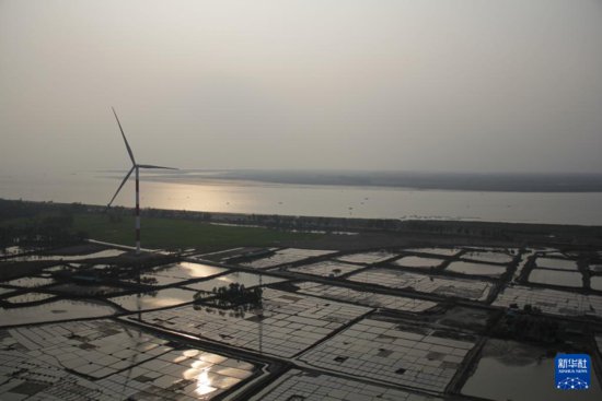 共话中国经济新机遇｜中企助力孟加拉国可再生能源领域发展