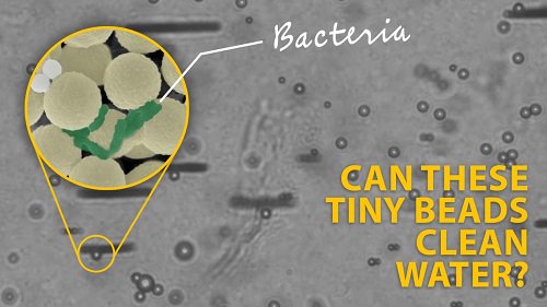 <em>微型机器</em>人能清理微塑料和细菌