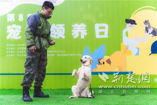 “以爱之<em>名</em>，宠物领养”<em>主题公益活动</em>在汉举行 促进市民了解动物...