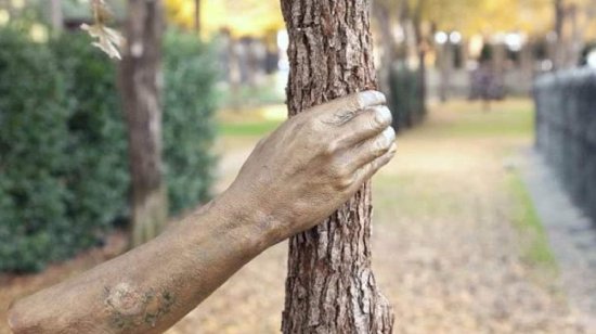 世界最孤独的手！它紧紧握住一棵<em>树</em>已经50年，一直没有松开过