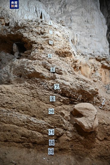 距今<em>三四万</em>年 广西柳州首次发掘清理出史前墓葬