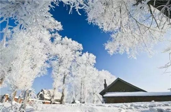 陪你看最美的雪景，体验不一样的风情！