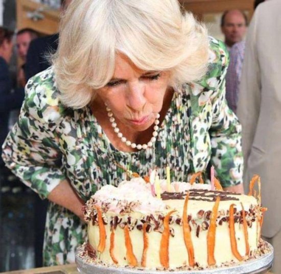 卡米拉迎75岁生日，英国未来王后笑靥如花，<em>比戴安娜</em>命好多了