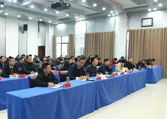 桐城组织收听收看安庆市委农村工作会议