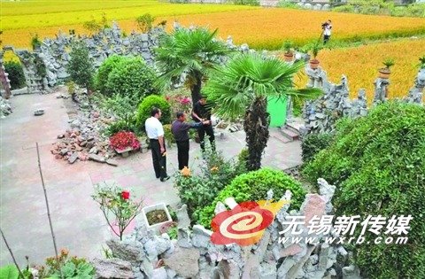 江阴老大爷用废弃材料造了个“主题花园”