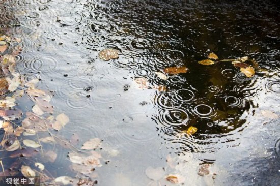 一场秋雨一场寒，47句描写秋雨的诗词，让人美到心醉