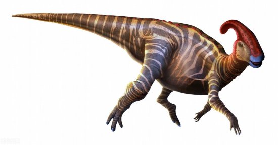 肉食性<em>恐龙</em>竟在<em>地球上</em>生存了千百万年？靠的不仅是它们的锋芒
