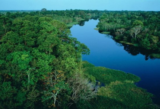 <em>亚马逊河</em>最<em>恐怖</em>的动物是什么？<em>为什么</em>当地人不敢在河里游泳