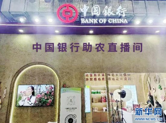 中国银行助力定点帮扶地区农产品亮相消博会