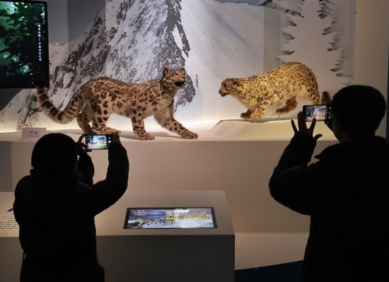 国博首个自然生态<em>类</em>展览展出600余件<em>动物</em>标本