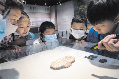 华夏博物之旅丨河南安阳中国文字博物馆一览