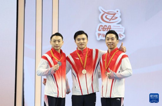 全国体操锦标赛：刘洋夺得男子吊环冠军