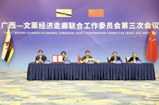 广西—文莱经济走廊联合工作委员会第三次会议召开