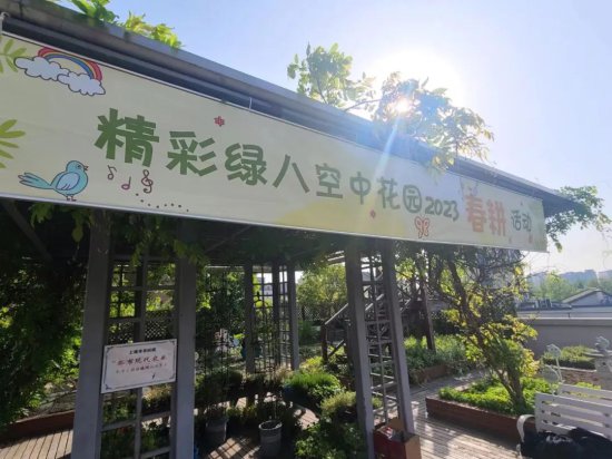 文明实践在长宁 | 新泾镇这处“空中花园”来了一群“都市农夫”