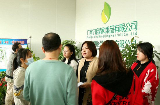 宁明县开展2024年春风行动点对点送工入企活动