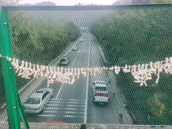 村民在高速公路天桥上晒萝卜干 重庆交通执法部门温情执法获点赞