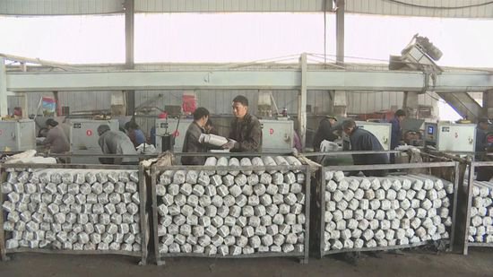 河南西峡：三亿袋<em>春栽香菇</em>生产全面启动