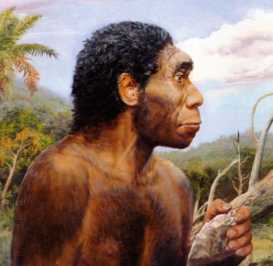 盘点<em>关于</em>人类远古祖先的十个“烧<em>脑的</em>”未解之谜！