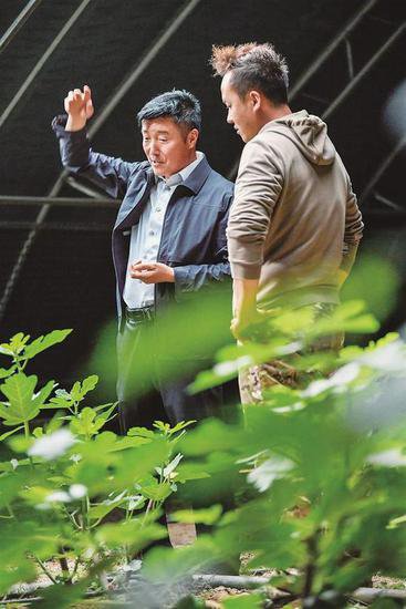 宁夏惠农迎来建区20周年：昔日煤城 向绿而行