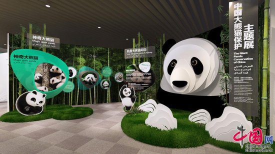 阿联酋2020年迪拜<em>世界博览会</em>中国大熊猫保护主题展正式开展
