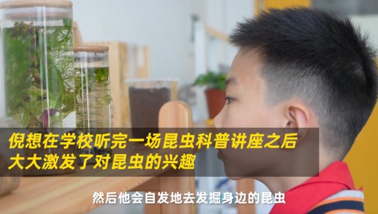 为学生爱好买单，杭州一学校为学生创立昆虫研究<em>工作室</em>