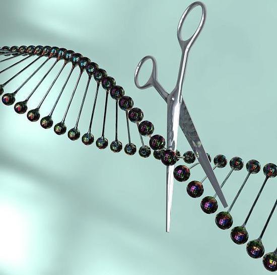 潮声丨基因编辑疗法加速上市，医疗新时代来了？