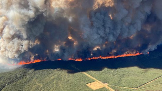 全球连线 | 两百余处野火失控 加拿大遭遇史上最<em>严峻</em>森林火情