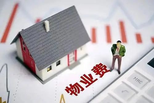 关于质保期内房屋质量及空置房屋物业费问题解析
